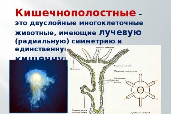 Кракен не заходит