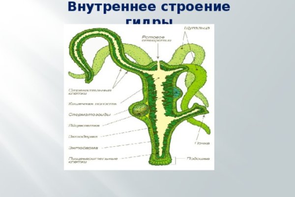 Ссылка на кракен тор kr2web in