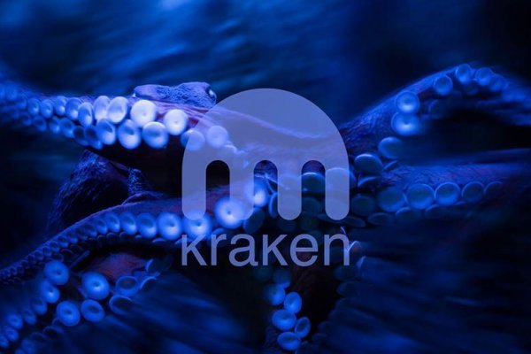 Кракен даркнет store kraken dark link