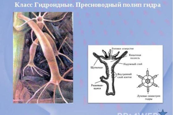 Кракен маркет онион